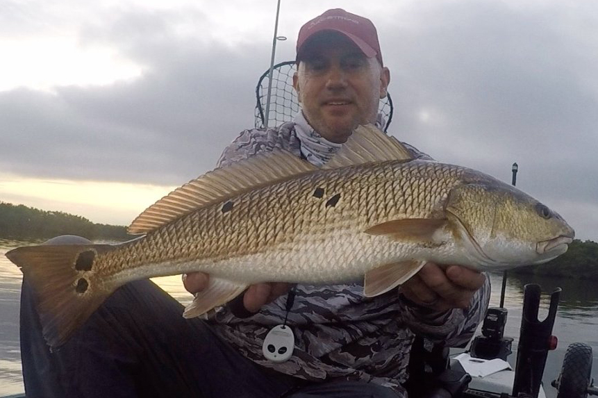 INSHORE-redfish (6)