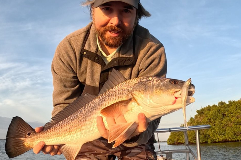 INSHORE-redfish