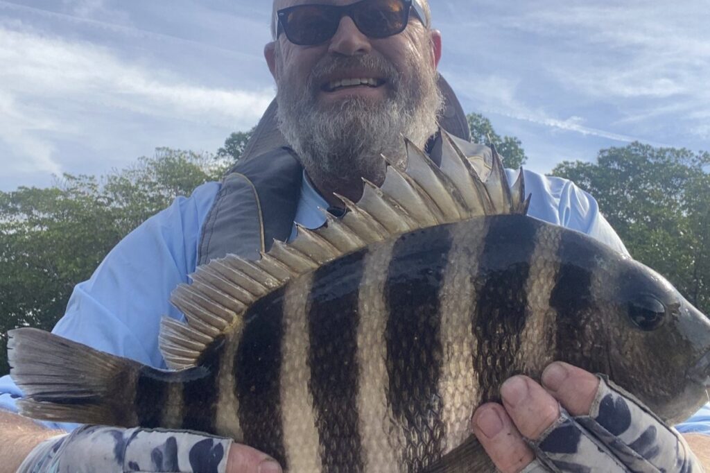 INSHORE-sheepshead