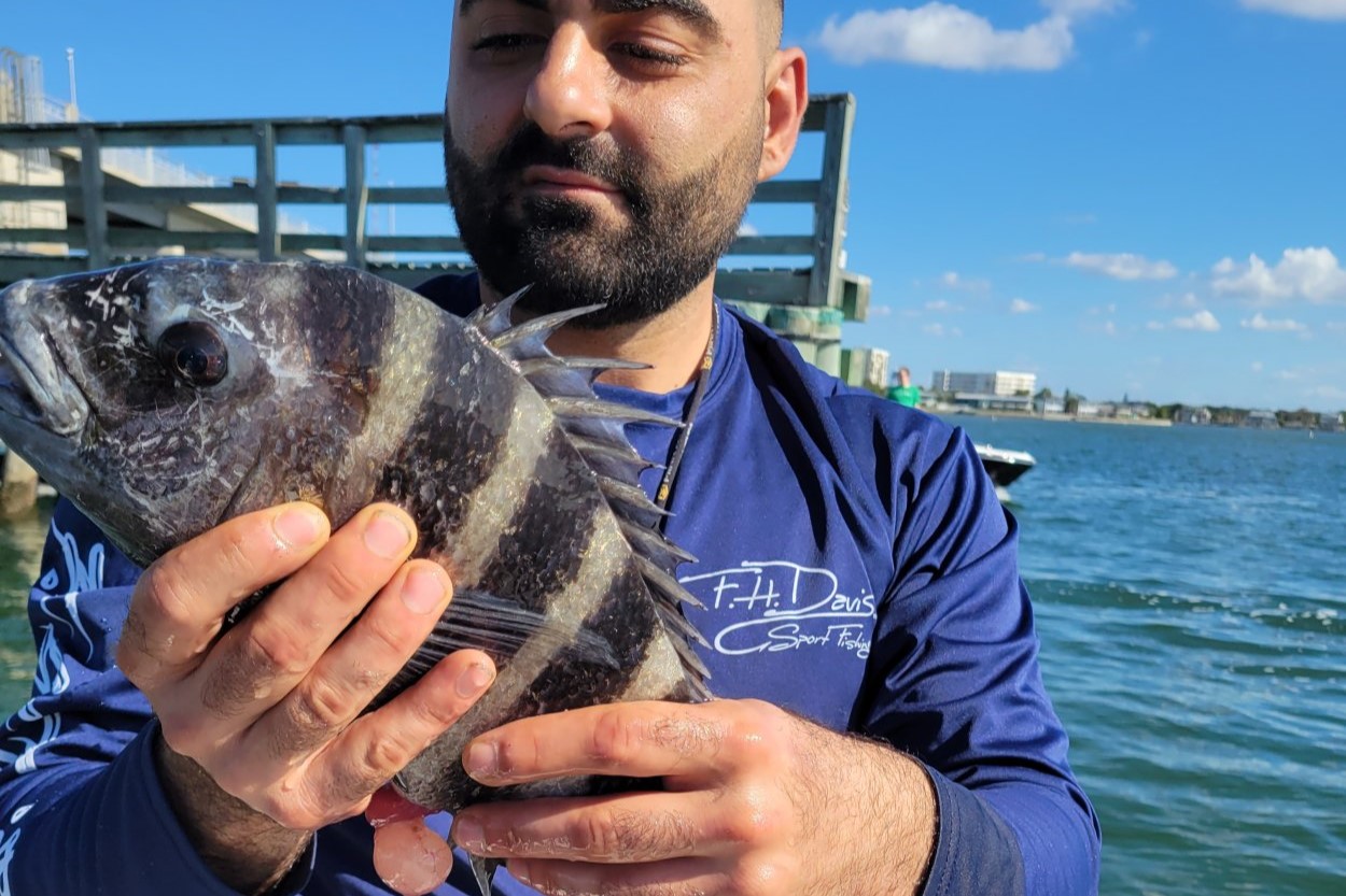 INSHORE - sheepshead