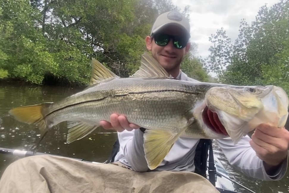 INSHORE - snook (1)