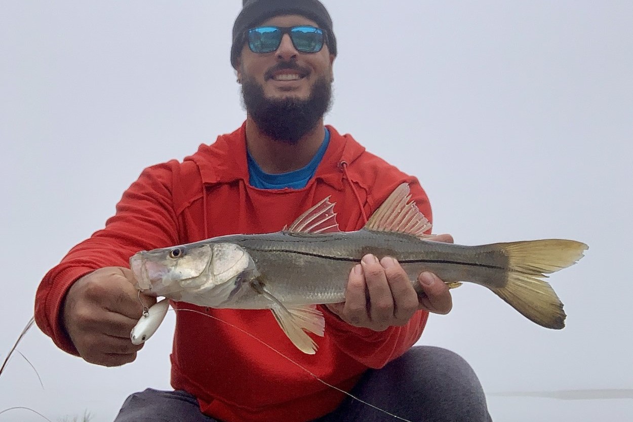 INSHORE - snook (2)