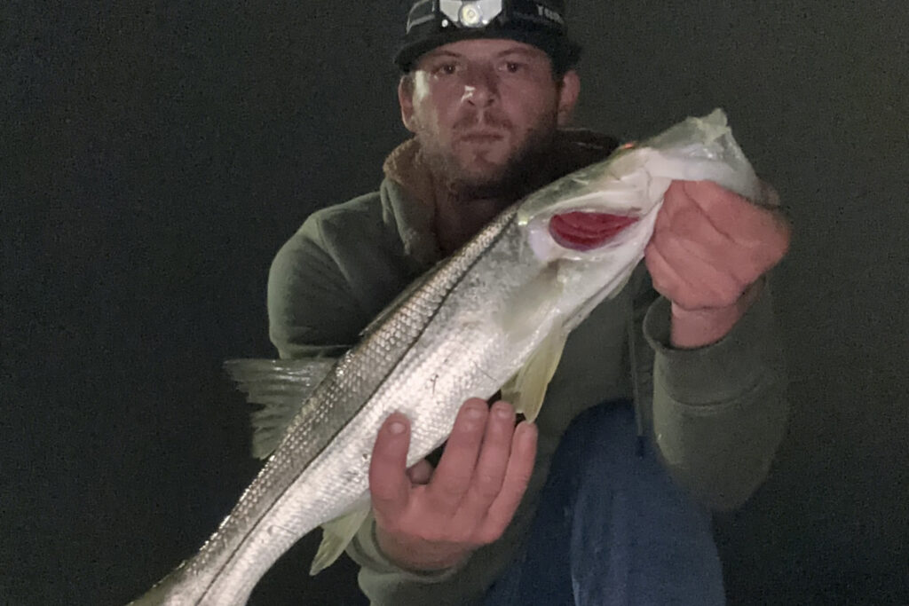 INSHORE-snook (2)