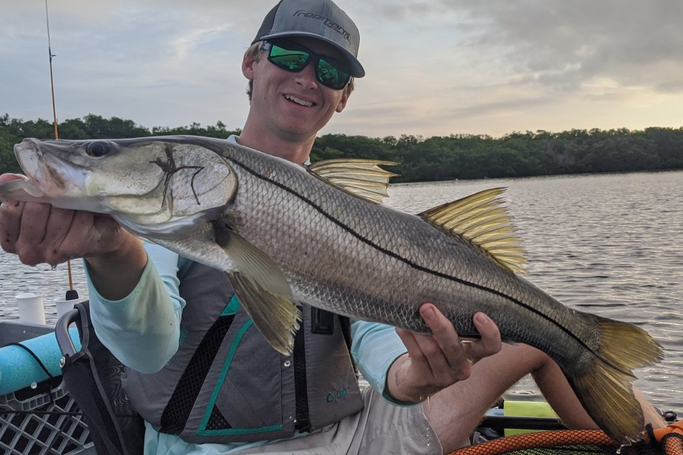 INSHORE-snook4