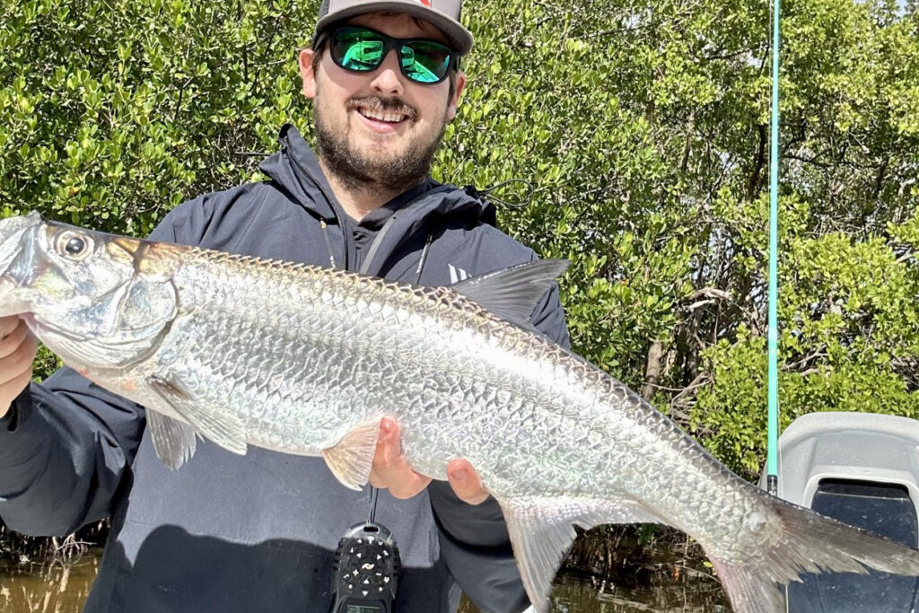 INSHORE-tarpon