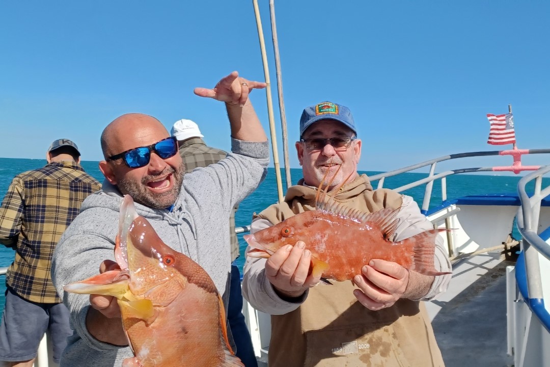 NEAR SHORE - hogfish (1)