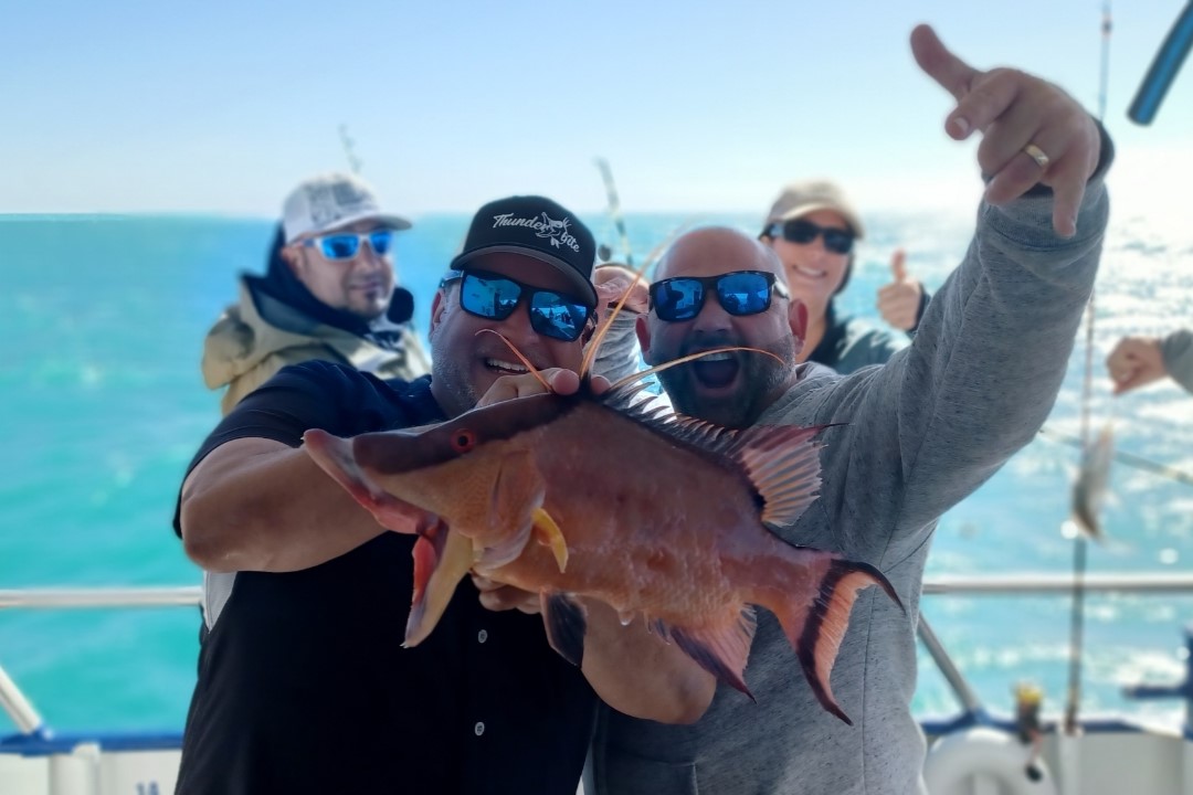 NEAR SHORE - hogfish (10)