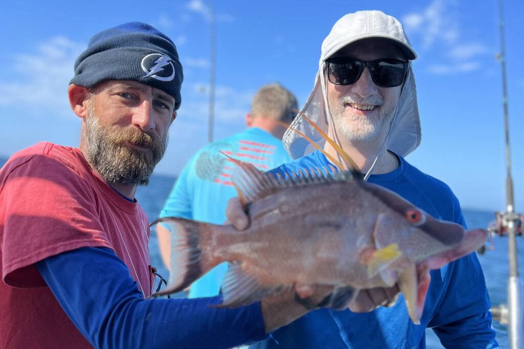 NEAR SHORE - hogfish (12)