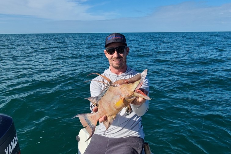 NEAR SHORE - hogfish 2