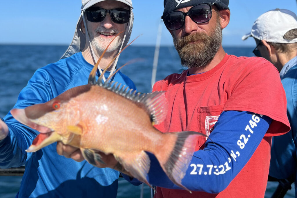 NEAR SHORE - hogfish (3)