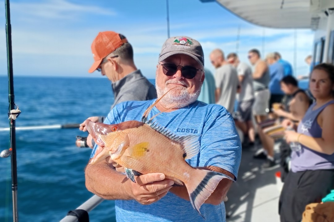 NEAR SHORE - hogfish (4)