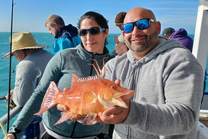 NEAR SHORE - hogfish (9)