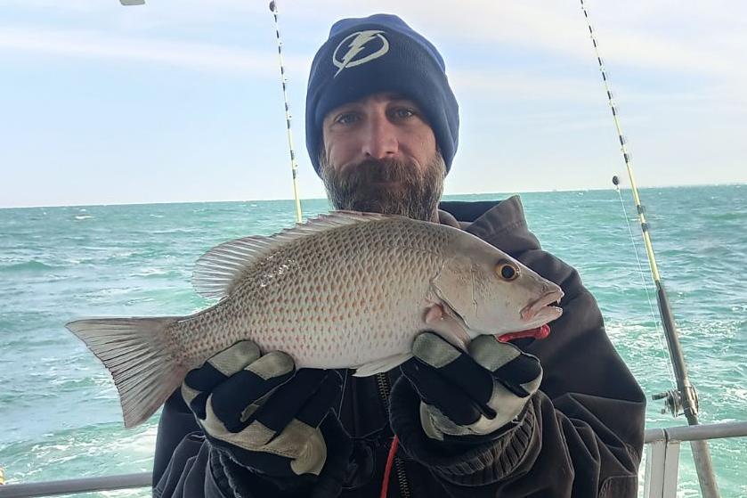 NEAR SHORE - mangrove snapper