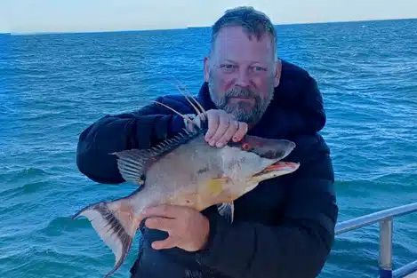 NEARSHORE-hogfish (1)