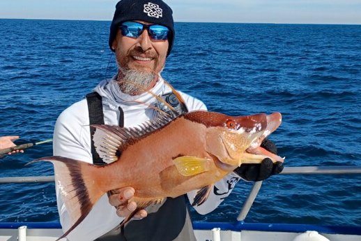 NEARSHORE-hogfish (10)