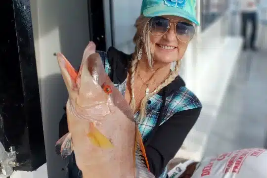 NEARSHORE-hogfish (2)