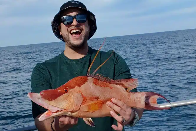NEARSHORE-hogfish (9)