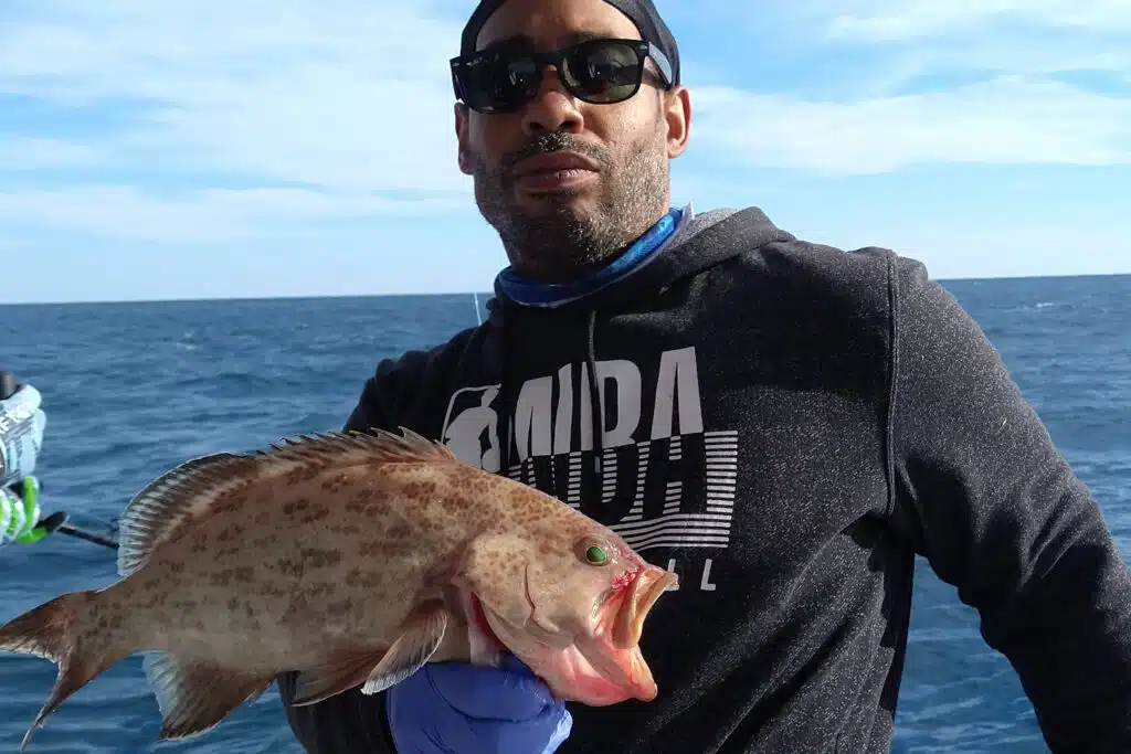 OFFSHORE-gaggrouper