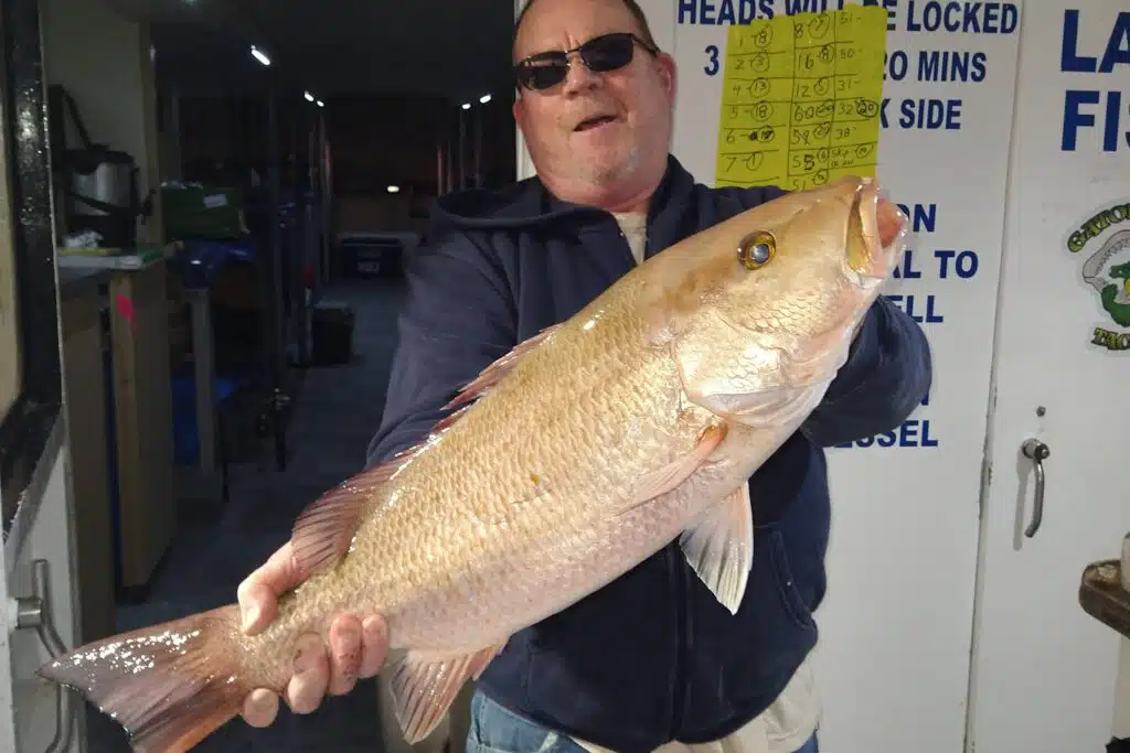 OFFSHORE-mangrovesnapper