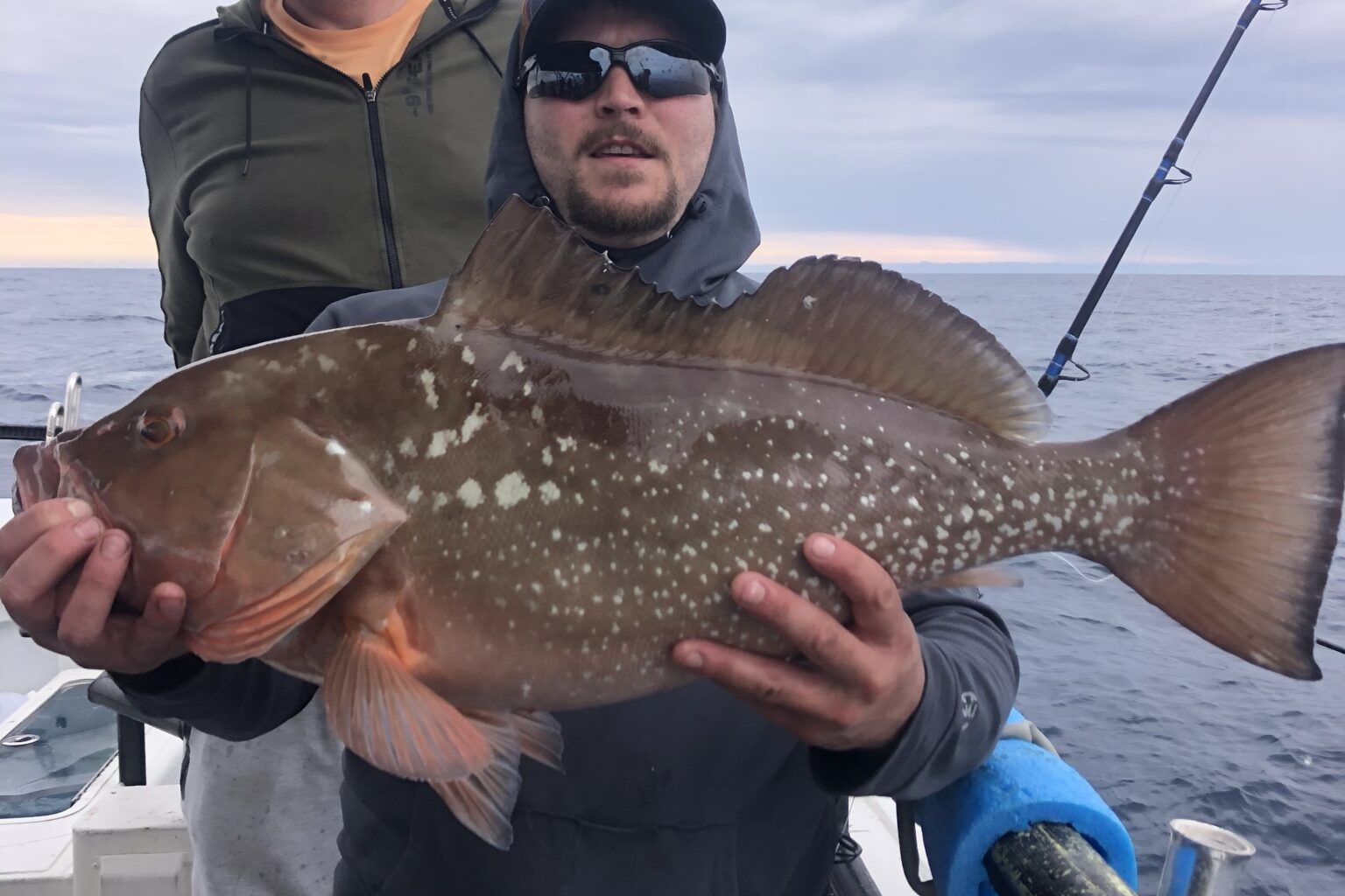 OFFSHORE - red grouper (1)