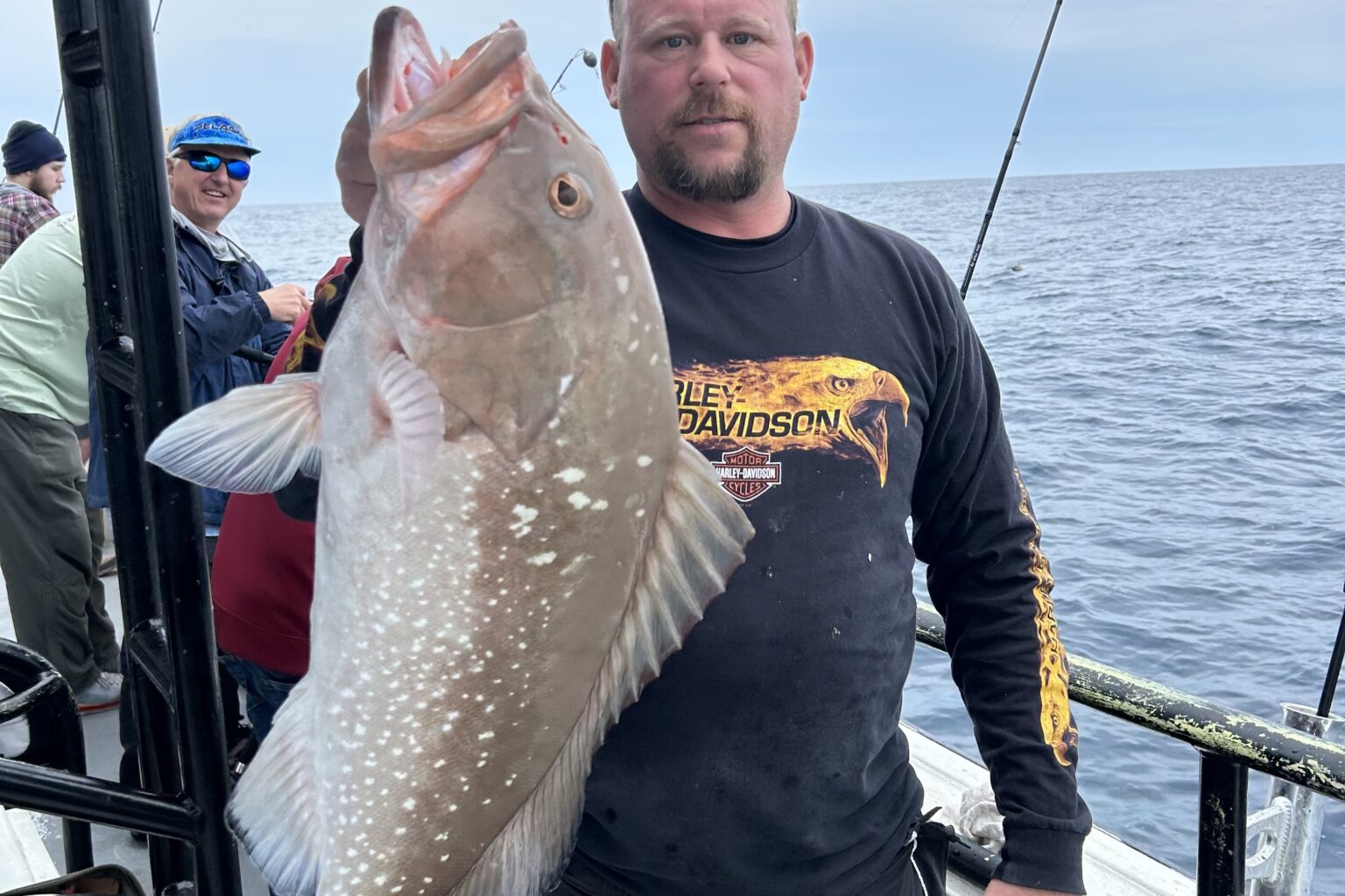 OFFSHORE - red grouper (2)