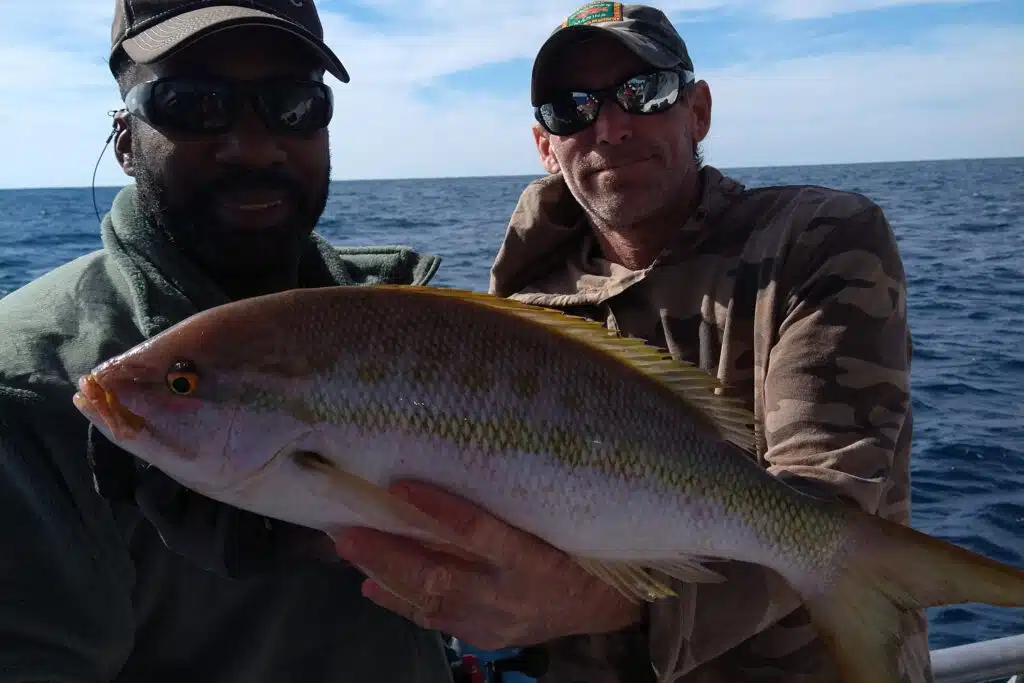OFFSHORE-yellowtail
