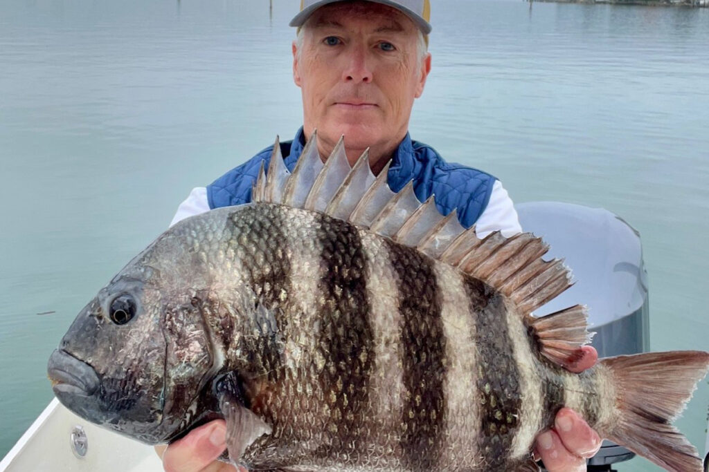 INSHORE-Sheepshead2