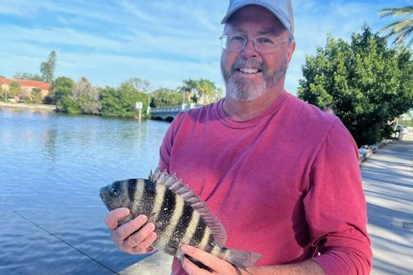 INSHORE-sheepshead