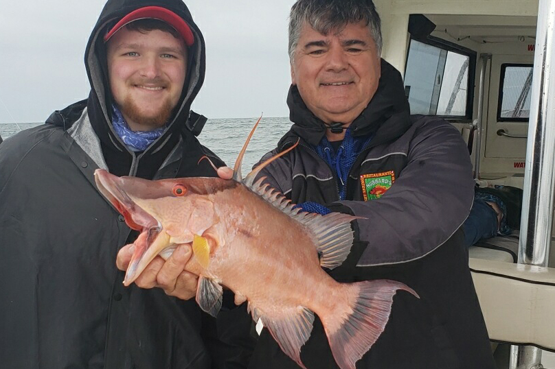 NEARSHORE-hogfish