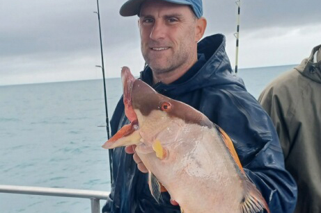 NEARSHORE-hogfish3