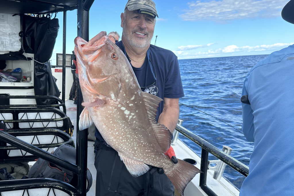 OFFSHORE-Redgrouper5