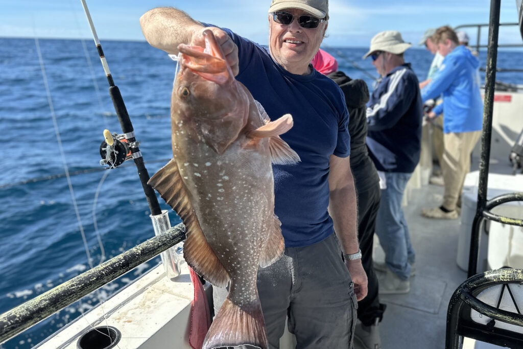 OFFSHORE-redgrouper7