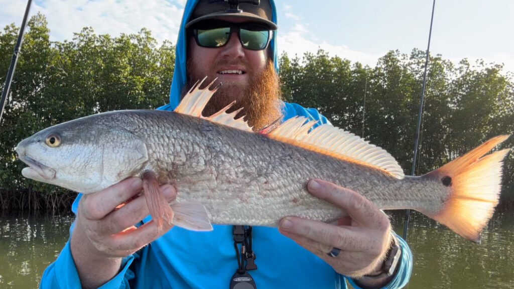 INSHORE - redfish (6)