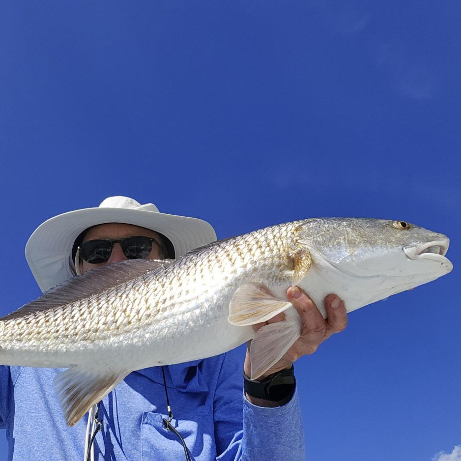 INSHORE-redfish4