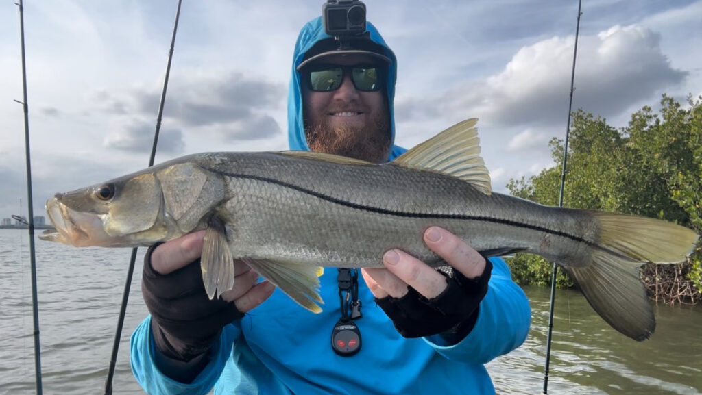 INSHORE - snook (2)