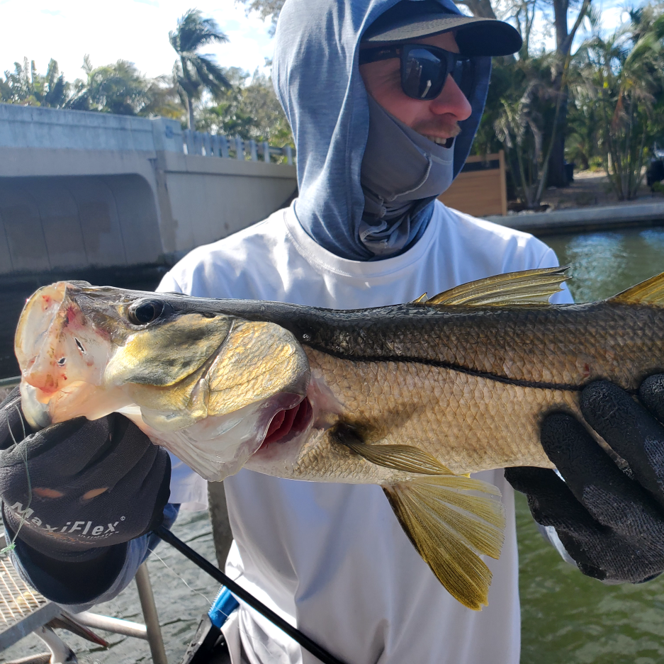 INSHORE-snook2