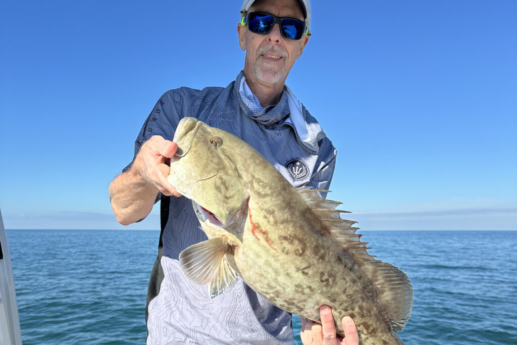 NEAR SHORE - gag grouper (1)