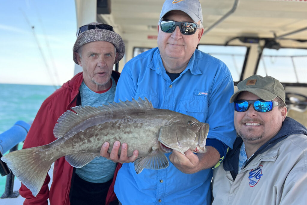 NEAR SHORE - gag grouper (6)