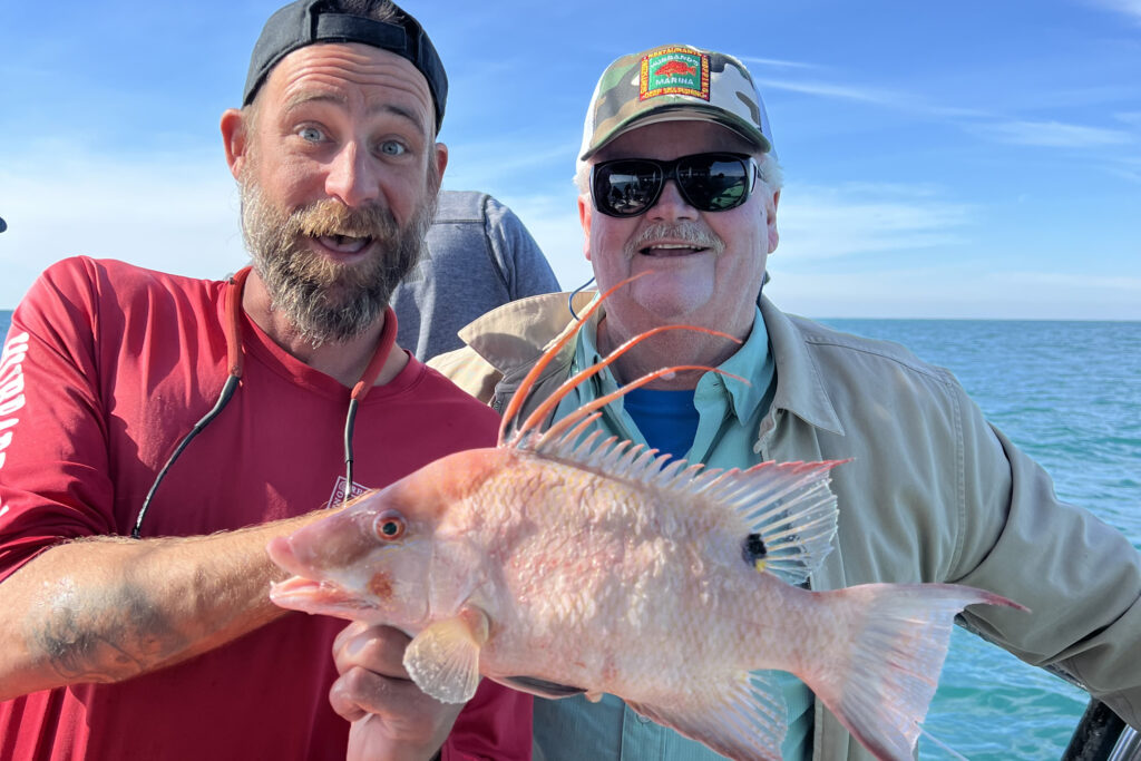 NEAR SHORE - hogfish (1)