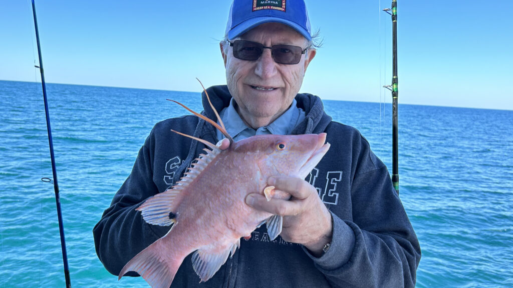 NEAR SHORE - hogfish (2)