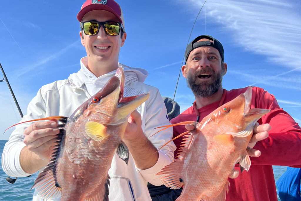 NEAR SHORE - hogfish (2)