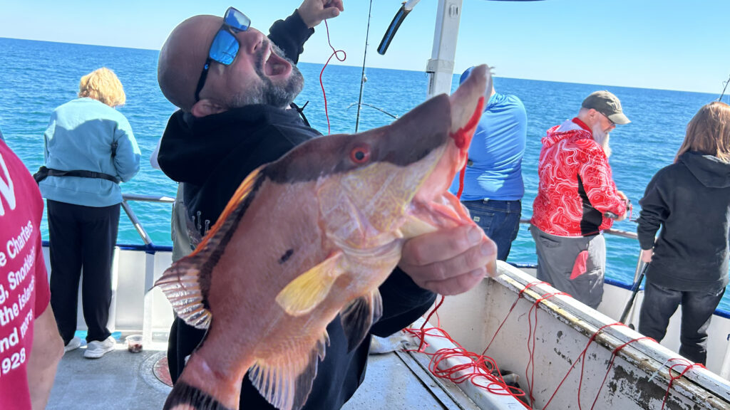 NEAR SHORE - hogfish (3)