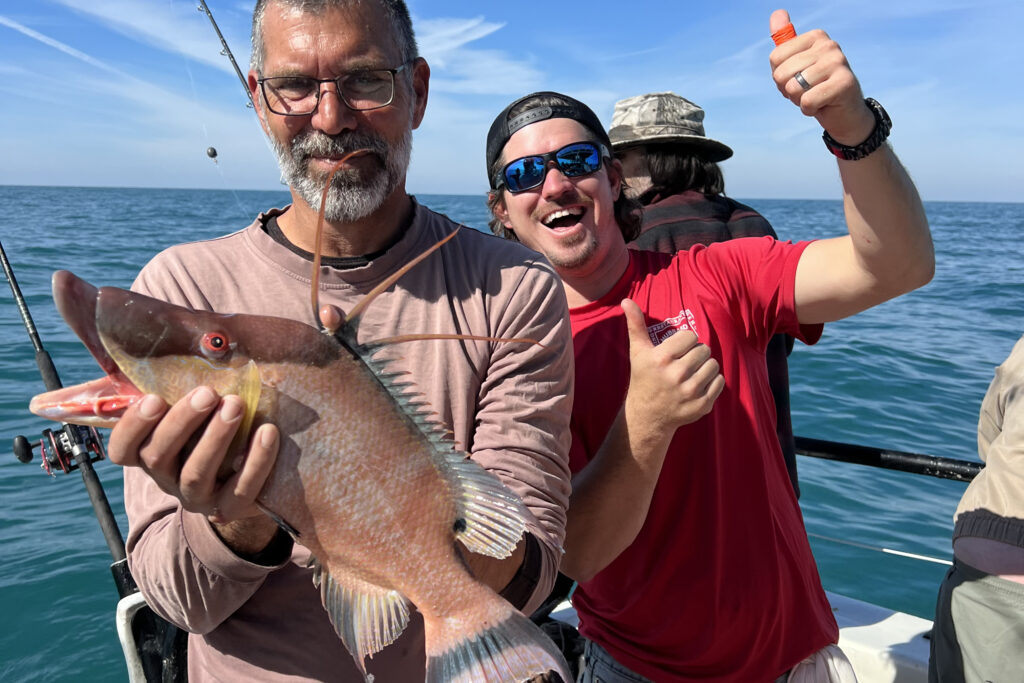 NEAR SHORE - hogfish (3)