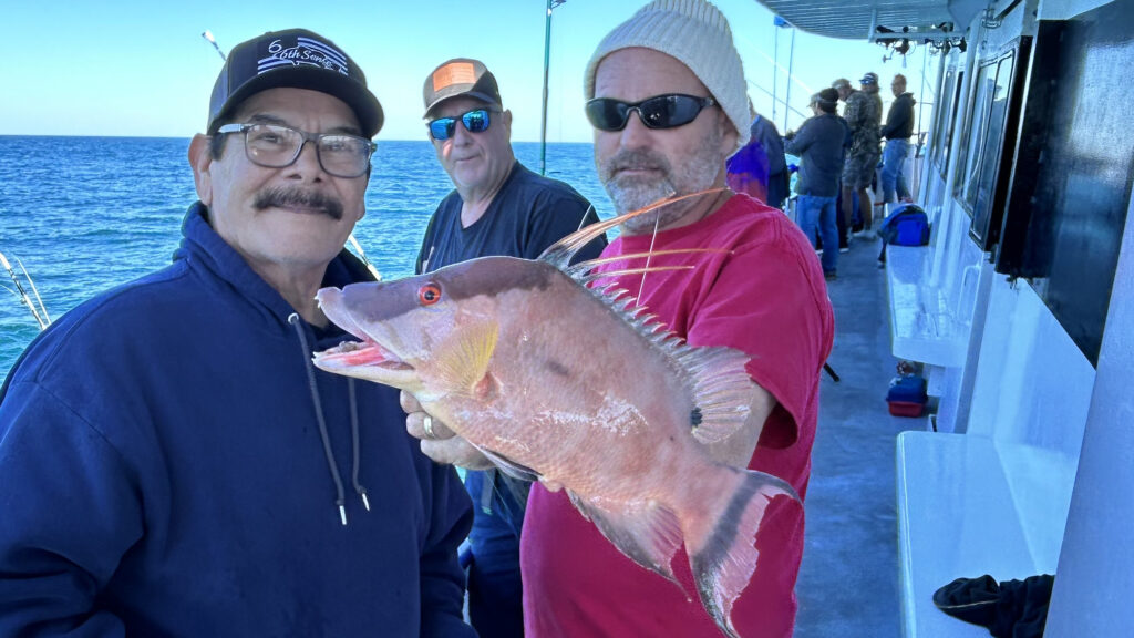 NEAR SHORE - hogfish (4)