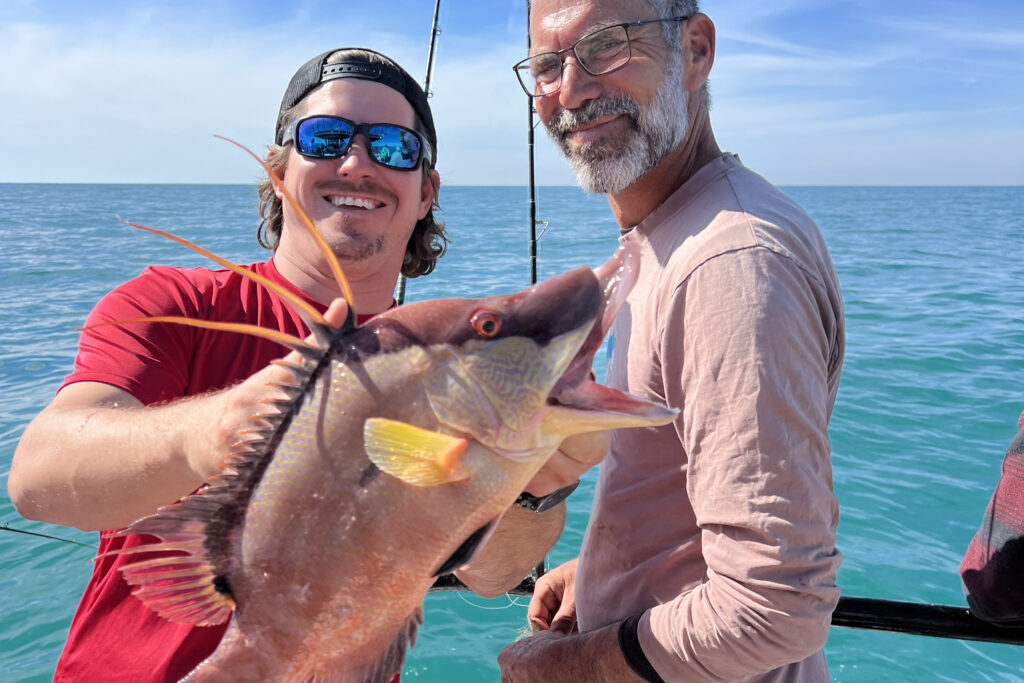 NEAR SHORE - hogfish (4)