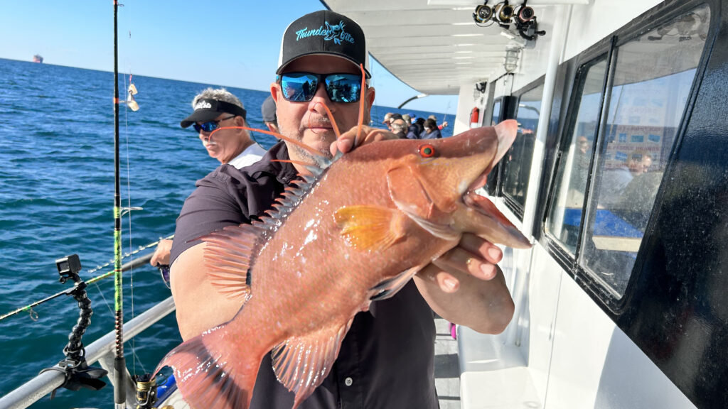 NEAR SHORE - hogfish (5)