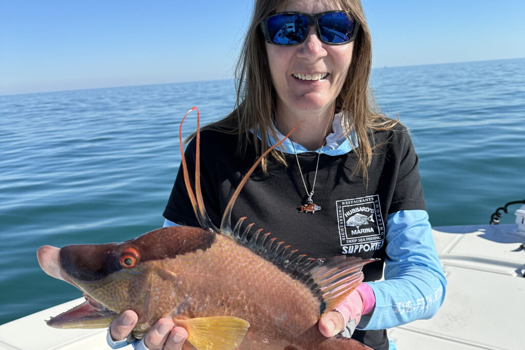 NEAR SHORE - hogfish (6)