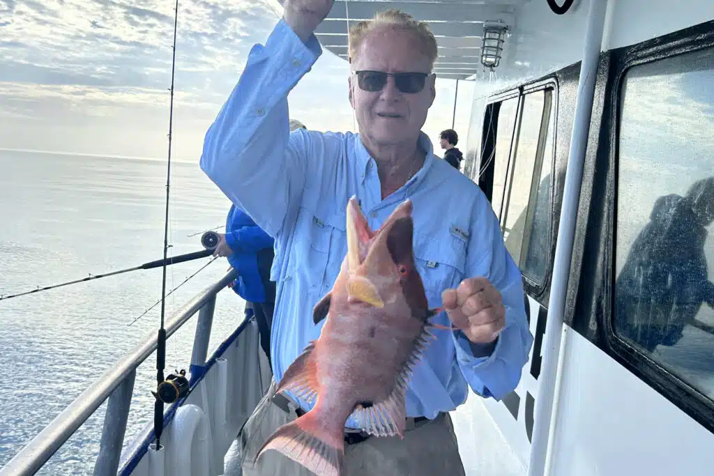 NEAR SHORE - hogfish (9)