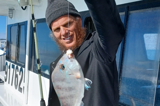 NEAR SHORE - porgies