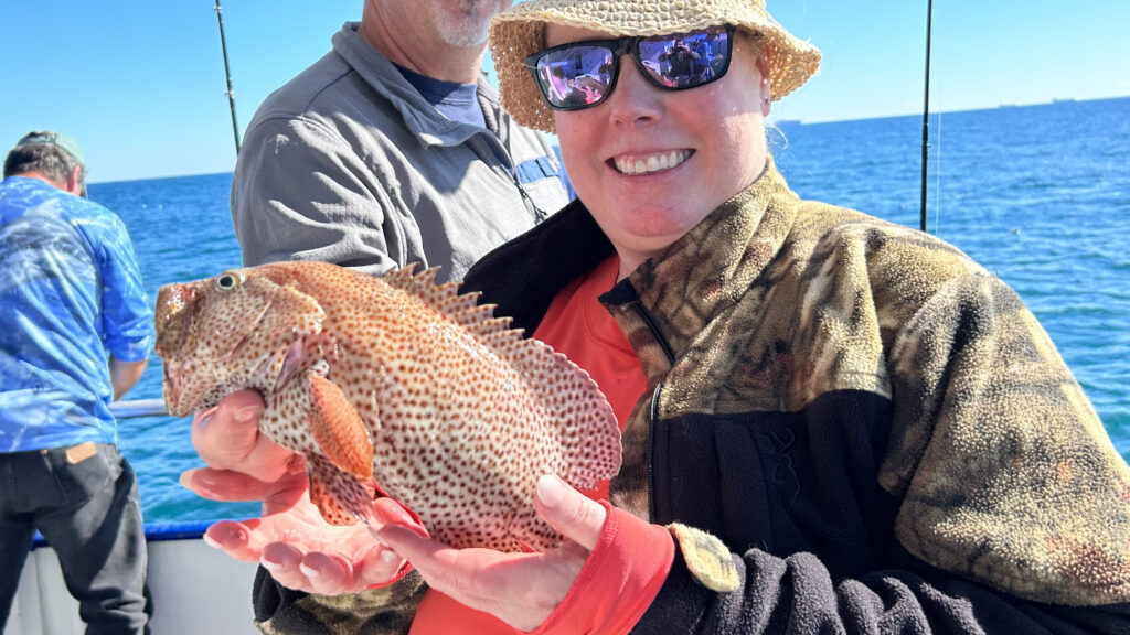 NEAR SHORE - strawberry grouper